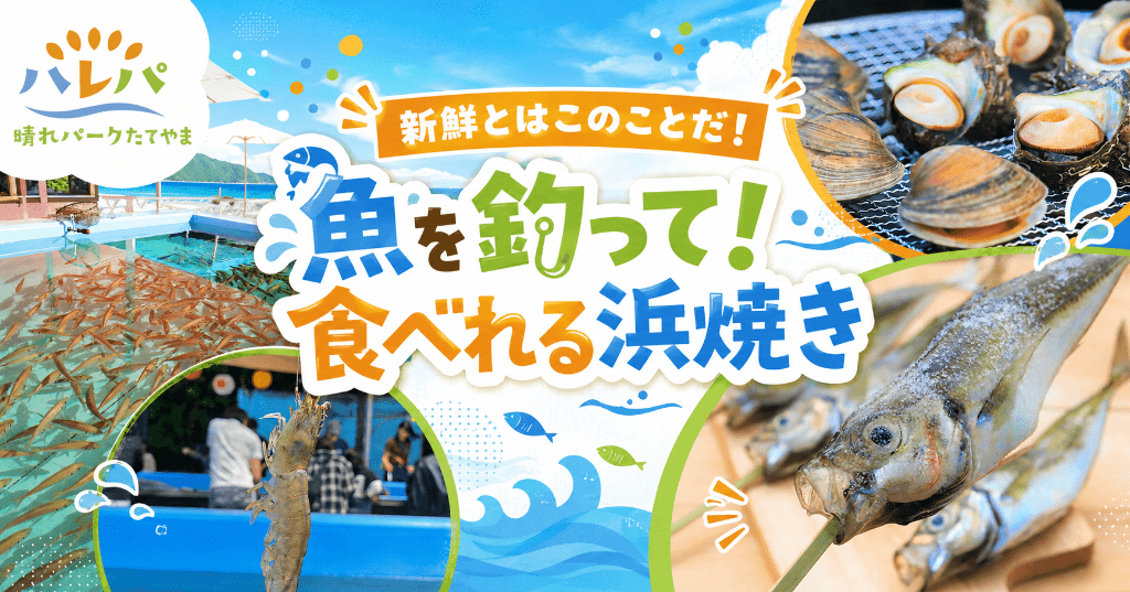 新鮮とはこのことだ！魚を釣って！食べれる浜焼き